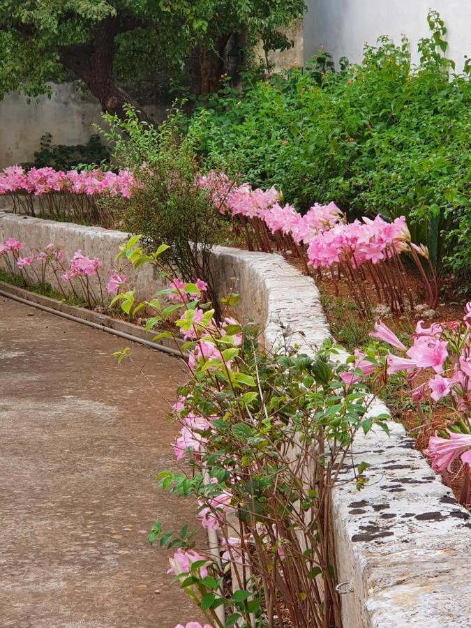 Villa Nel Salento - Ampie Camere E Giardino, Fino A 9 Persone Barbarano del Capo 外观 照片